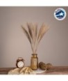 GLOBOSTAR® MISCANTHUS 36535 Αποξηραμένο Διακοσμητικό Μπουκέτο Μίσχανθος - Μπεζ - Μ20 x Π20 x Υ60cm - Πακέτο 20 Τεμαχίων